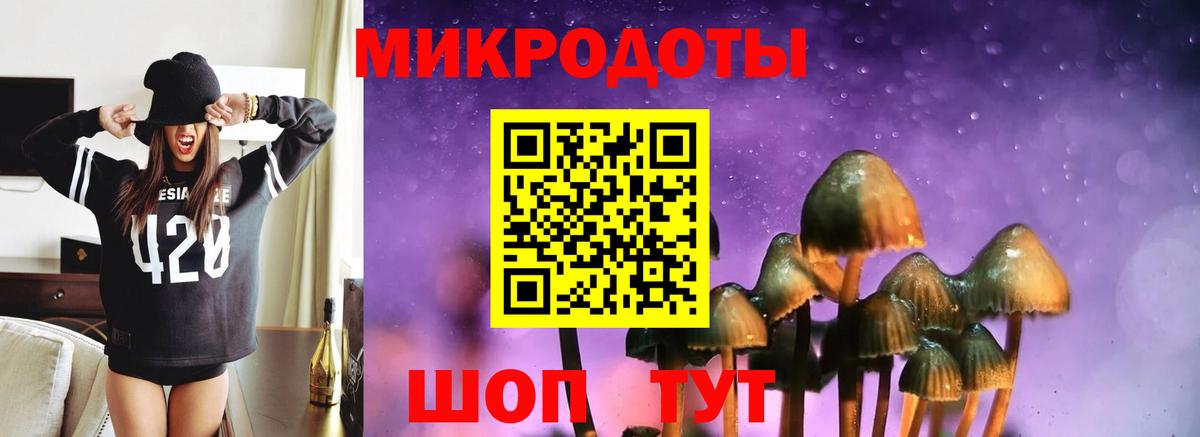 Дмитров  Псилоцибиновые грибы Magic Shrooms  где продают наркотики  Вход с VPN 